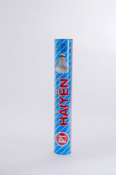 d12-cau-long-hai-yen-do-xanh-soc