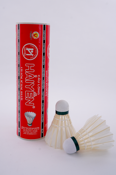 d06-cau-long-hai-yen-do-06