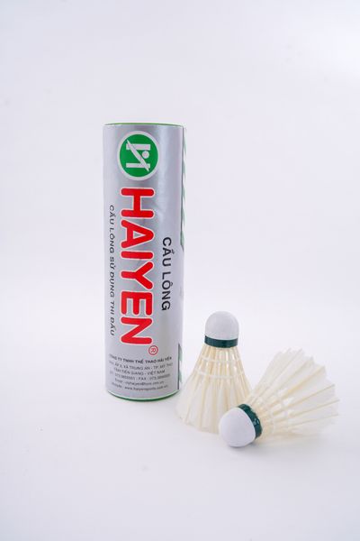 b06-cau-long-hai-yen-bac-ngan-06