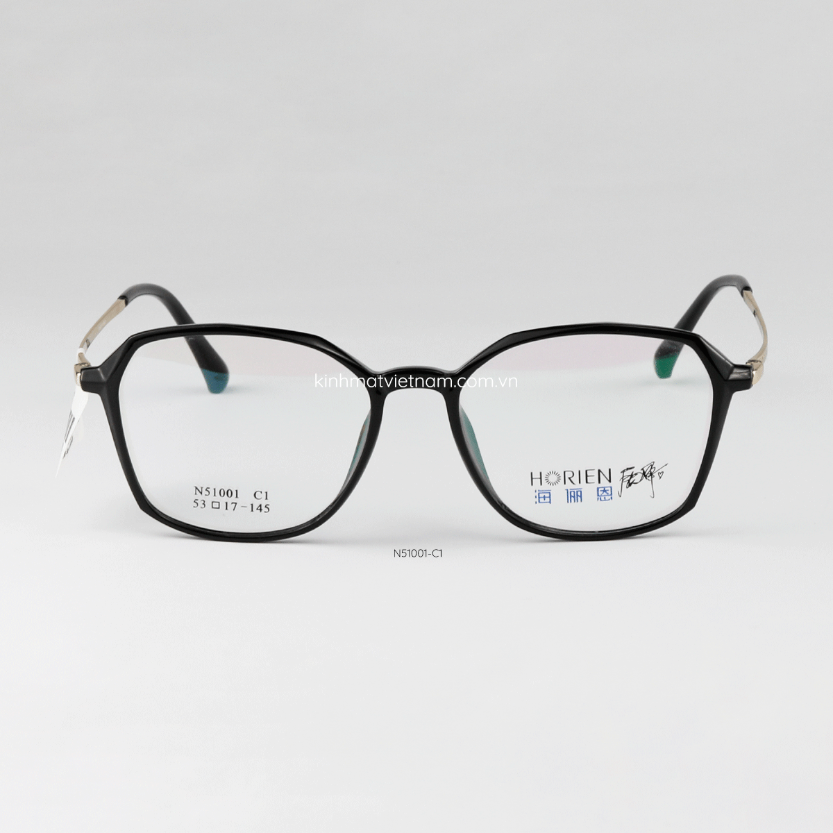 Gọng HORIEN N51001