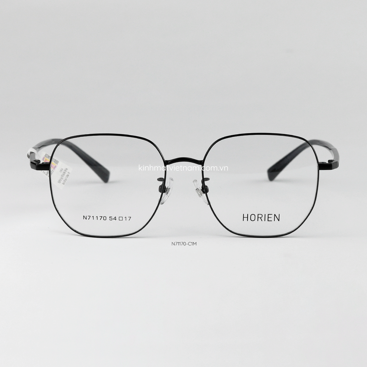 Gọng HORIEN N71170