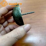 Đinh mũ màu đồng giả cổ 50*52mm