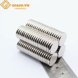 Nam châm trắng tròn D30*5mm