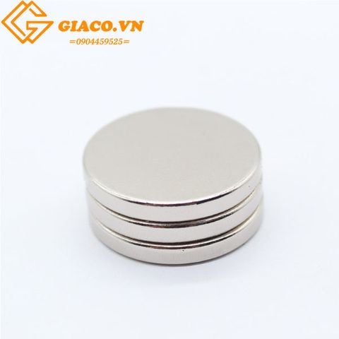 Nam châm trắng tròn D30*5mm