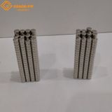 Nam châm trắng tròn D5*3