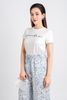 FQD31117 - Quần dạo phố vải lụa xốp dáng suông dài cạp chun thắt nơ tạo kiểu - PANTIO