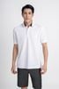 MAP3010 - Áo Polo nam vải trơn màu form Regular Fit kiểu dáng ngắn tay - PANTIO