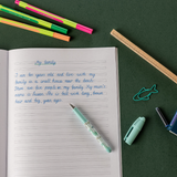 Bút máy Schneider Zippi - dragon ngòi EF