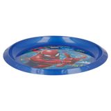 Đĩa nhựa 21.5cm - Graffiti Spider-Man