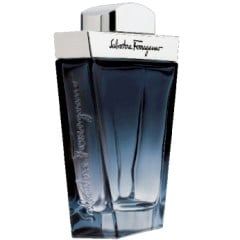 Salvatore Ferragamo Subtil Pour Home