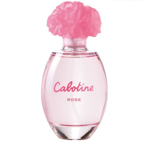 Cabotine Rose