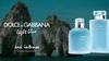 Light Blue Eau Intense D&G for women