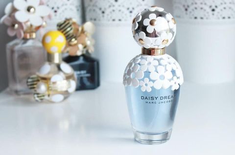 Daisy Dream