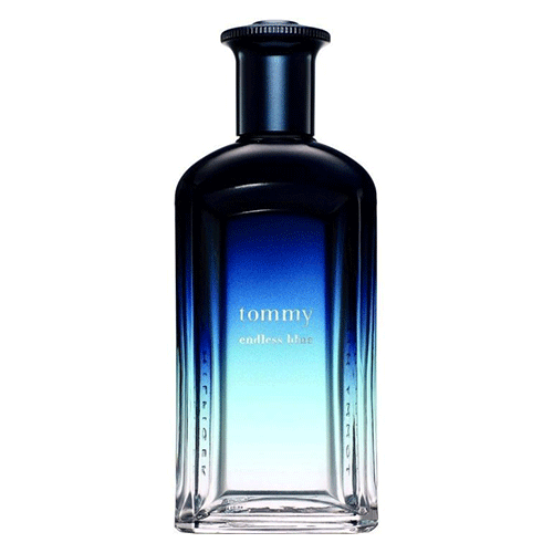 Tommy hilfiger endless clearance blue