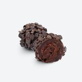 Vanilla Truffle