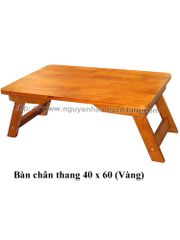 Bàn Xếp Gọn Chân Thang (40cm x 60cm)