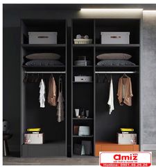 Tủ quần áo thiết kế tối giản hiện đại AMIZ-003