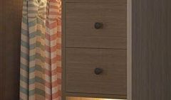 Tủ treo quần áo cánh nhôm kính phong cách hiện đại AMIZ-009