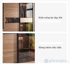Tủ quần áo cửa trượt cánh kính AMIZ-011