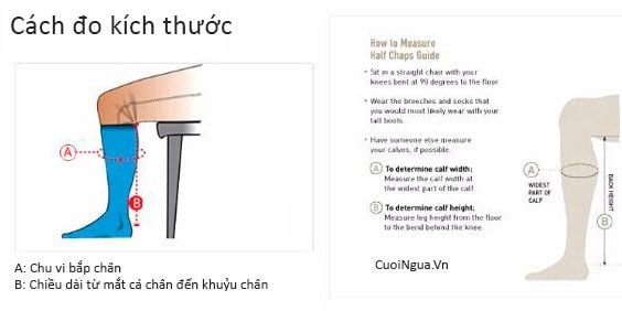 Bọc ống chân cưỡi ngựa