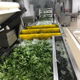 IQF LEAF MUSTARD