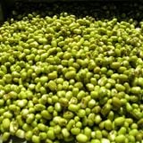 GREEN BEAN