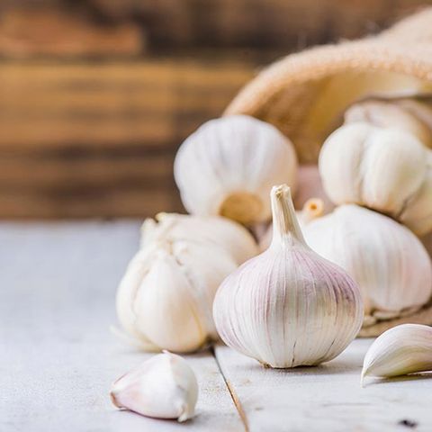 GARLIC