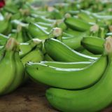 IQF BANANA