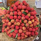 LYCHEES IN SYRUP