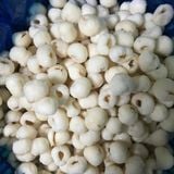 Vải thiều đông lạnh