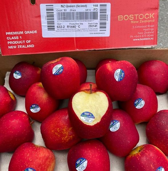 TÁO QUEEN NEW ZEALAND - thùng 18 kg