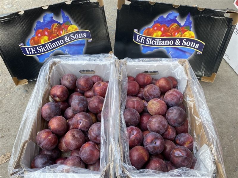 Mận Úc Ruột Đỏ Siciliano Thùng 5kg