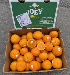 Quýt JOEY Úc size 64- thùng 9kg cả bì