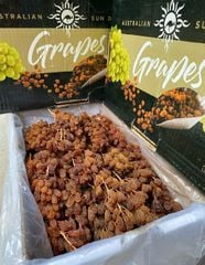NHO KHÔ NGUYÊN CÀNH THOMSPON B THÙNG VÀNG ĐEN 4KG