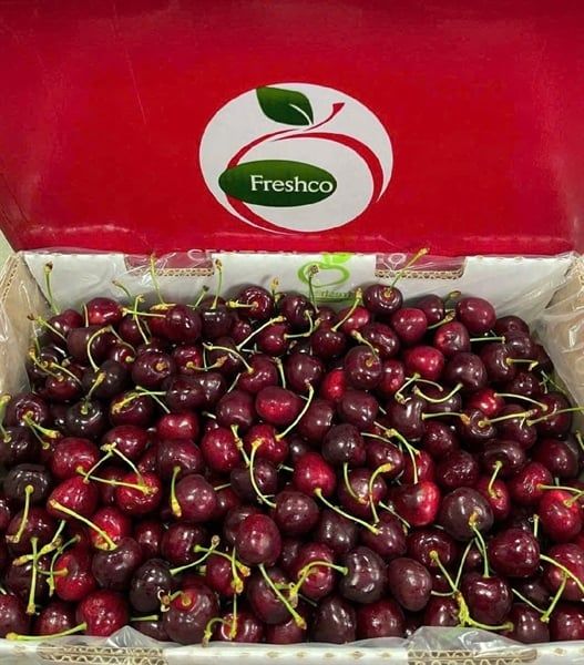 CHERRY NZ FRESHCO Size 28+ thùng 5kg