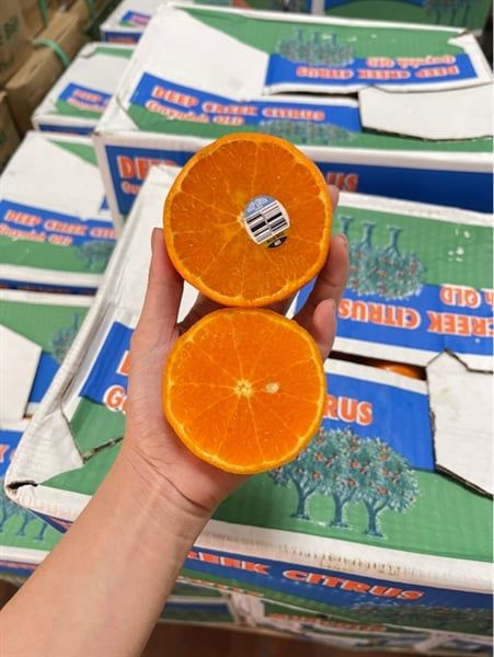 Quýt Thùng Xanh Size 64 Thùng 9kg