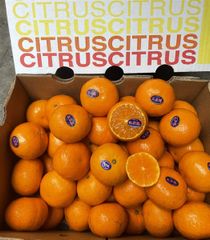 QUÝT ÚC CITRUS size 48- thùng 9kg cả bì