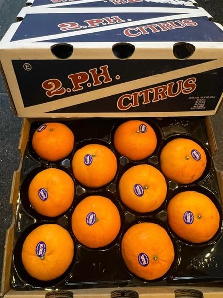 Quýt Úc 2PH Citrus