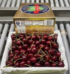 Hansen gold Tasmania Cherry Úc size VIP 32-34- hộp 2kg