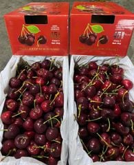 Cherry 45 South chủng Sweet Heart Size 30-32 -Hộp 2Kg