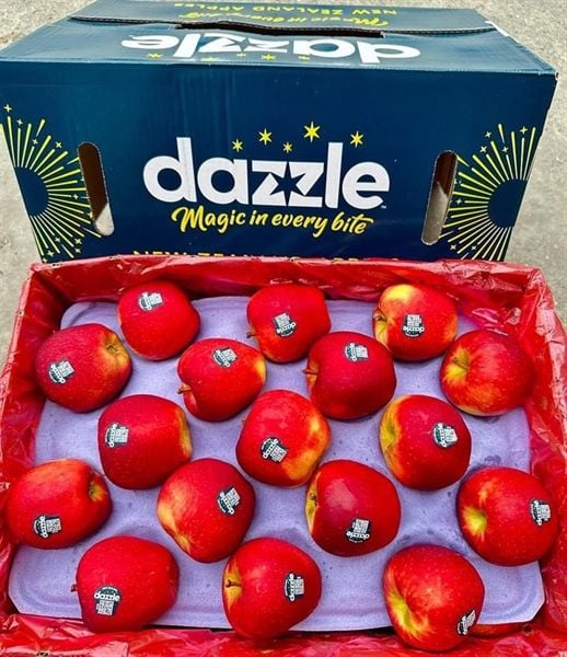 Táo Dazzle New Zealand Size 80 Thùng 18kg