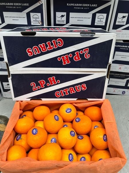 Quýt 2PH - size 36/thùng-6,5kg.