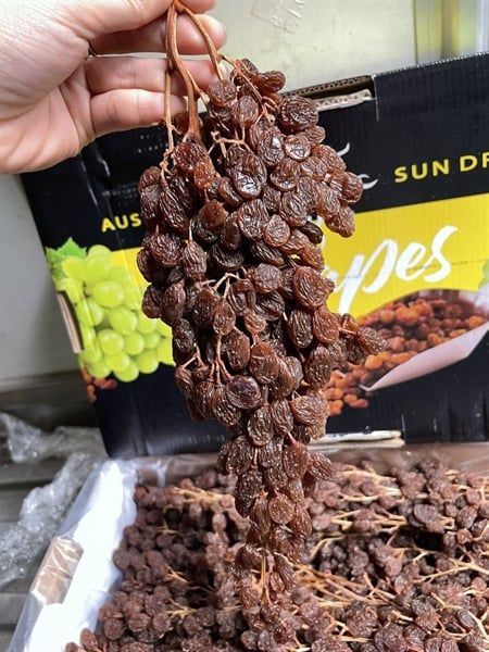 Nho Khô Nguyên Cành Sunmuscat A Thùng 4kg