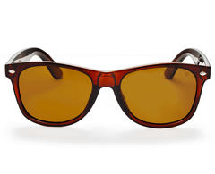 Winstonne Men's Phoenix Polarised Sunglasses - Brown