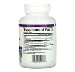 Tinh Chất Chống Oxy Hóa Blue Rich Blueberry Concentrate cô đặc 500mg - lọ 90 viên nang
