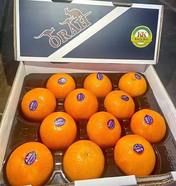 Quýt ÚC APH hàng hộp Vip 4kg- Size 24