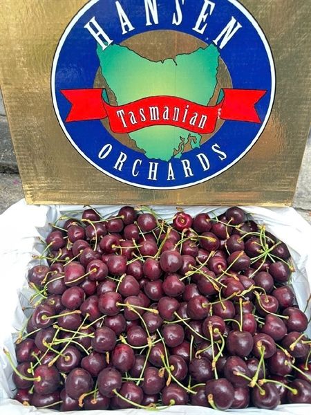 Cherry Úc Tasmanian Hansen Orchards Size 26-28 Thùng 5kg