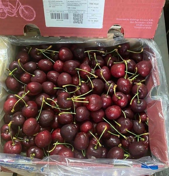 Cherry Xe Đạp Sz2JD thùng 2,5kg