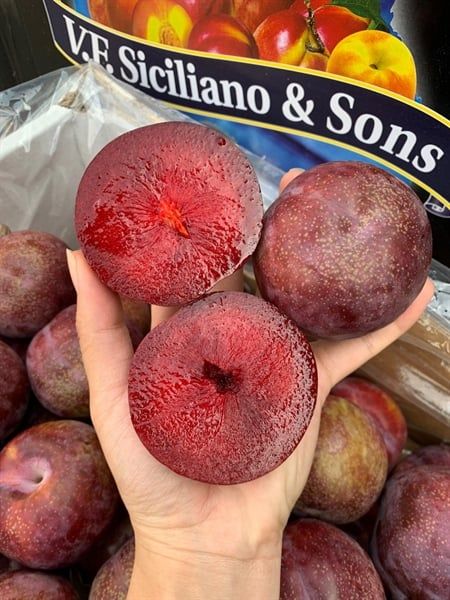 Mận Úc Ruột Đỏ Siciliano Thùng 5kg
