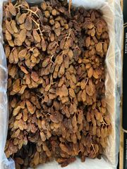 NHO KHÔ NGUYÊN CÀNH THOMPSON HỘP 1KG